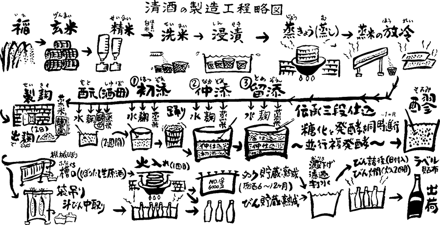 清酒の製造工程略図